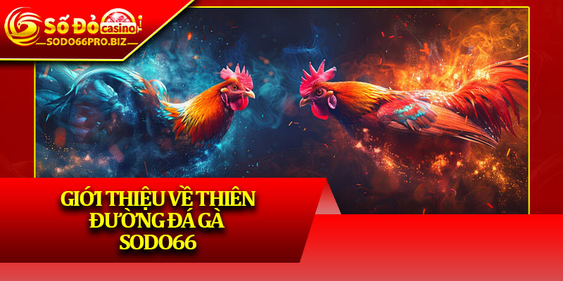 Đá Gà Sodo66 - Thiên Đường Chọi Kê Hấp Dẫn, An Toàn - GIKUSA Đá Gà Sodo66 - Thiên Đường Chọi Kê Hấp Dẫn, An Toàn - GIKUSA