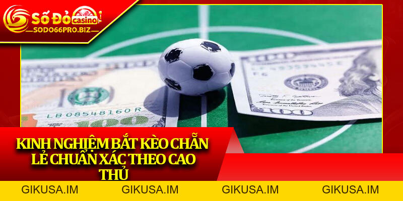 Kèo Chẵn Lẻ – Trải Nghiệm Cược Nhanh Tại Sân Chơi Sodo66 - GIKUSA Kèo Chẵn Lẻ – Trải Nghiệm Cược Nhanh Tại Sân Chơi Sodo66 - GIKUSA