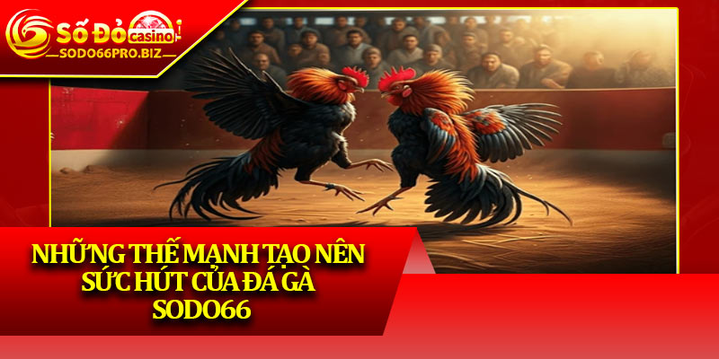 Đá Gà Sodo66 - Thiên Đường Chọi Kê Hấp Dẫn, An Toàn - GIKUSA Đá Gà Sodo66 - Thiên Đường Chọi Kê Hấp Dẫn, An Toàn - GIKUSA