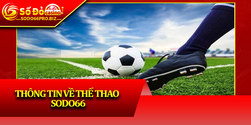 Thể Thao Sodo66 - Khám Phá Thế Giới Cá Cược Sôi Động - GIKUSA Thể Thao Sodo66 - Khám Phá Thế Giới Cá Cược Sôi Động - GIKUSA